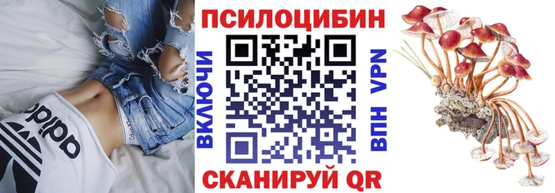 Галлюциногенные грибы мухоморы  сколько стоит  Щёкино 